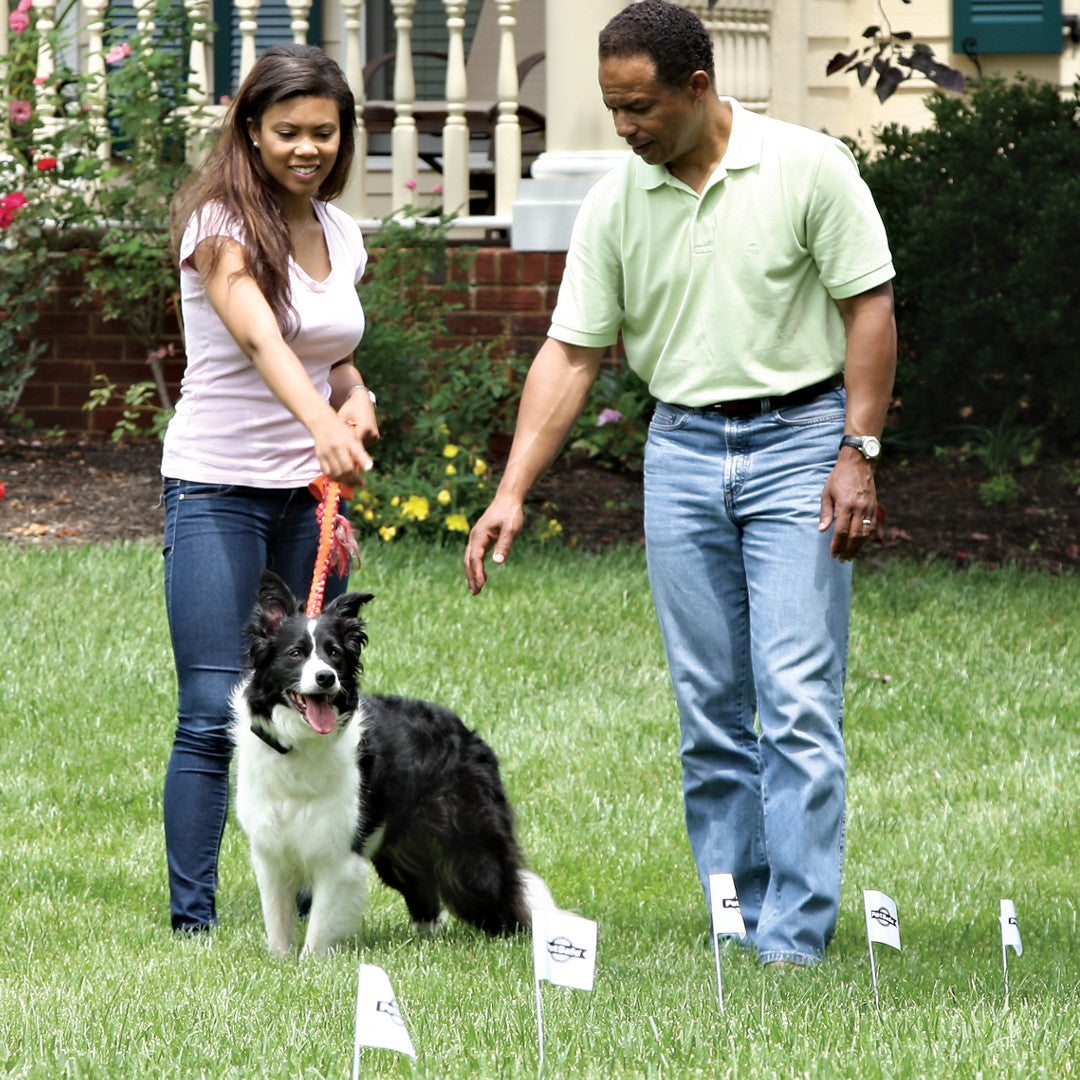 Boundary Flags (50-Pack)